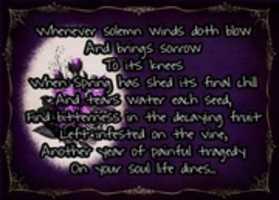 Free download Impending Solemnity free photo or picture to be edited with GIMP online image editor