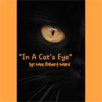 Gratis download In A Cats Eye gratis foto of afbeelding om te bewerken met GIMP online afbeeldingseditor