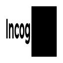 Incognegro  screen for extension Chrome web store in OffiDocs Chromium