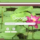 Indian Lotus  screen for extension Chrome web store in OffiDocs Chromium