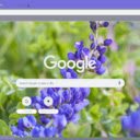 Indigo  screen for extension Chrome web store in OffiDocs Chromium