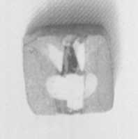 Free download Inlay fragment, lotus design free photo or picture to be edited with GIMP online image editor