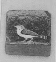 Free download Inlay, small bird, Egyptian design free photo or picture to be edited with GIMP online image editor