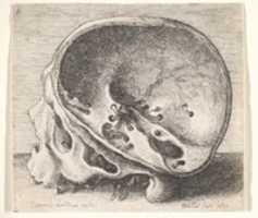 Free download Inner Aspects of the Human Skull, after Leonardo free photo or picture to be edited with GIMP online image editor