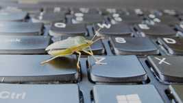 Free download Insect Green Bug -  free video to be edited with OpenShot online video editor