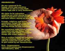 Free download INSENSITIVITY free photo or picture to be edited with GIMP online image editor