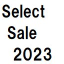 Insert Select Sale 2023  screen for extension Chrome web store in OffiDocs Chromium