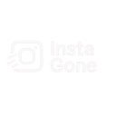Instagone  screen for extension Chrome web store in OffiDocs Chromium