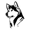 InstaHusky  screen for extension Chrome web store in OffiDocs Chromium