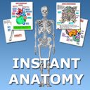 Schermata Instant Anatomy per l'estensione Chrome Web Store in OffiDocs Chromium