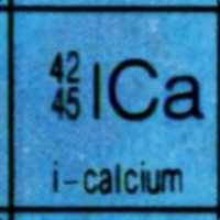 Free download Intelligent calcium free photo or picture to be edited with GIMP online image editor