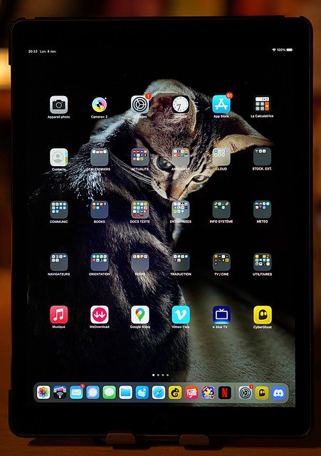 Free download ipad tablet digital camera free picture to be edited with GIMP free online image editor