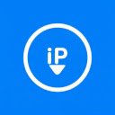 IP  Browser Info  screen for extension Chrome web store in OffiDocs Chromium