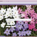 Ipheion  screen for extension Chrome web store in OffiDocs Chromium