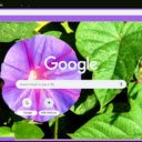 Ipomoea  screen for extension Chrome web store in OffiDocs Chromium