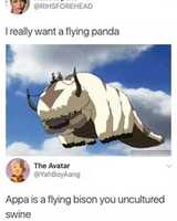 Free download I really want a flying panda [ Meme ] free photo or picture to be edited with GIMP online image editor