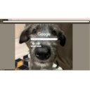 Irish wolfhound  screen for extension Chrome web store in OffiDocs Chromium