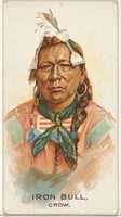 Download grátis Iron Bull, Crow, da série American Indian Chiefs (N2) para Allen & Ginter Cigarettes Brands foto gratuita ou imagem a ser editada com o editor de imagens online GIMP