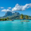 island of two coconut trees  screen for extension Chrome web store in OffiDocs Chromium
