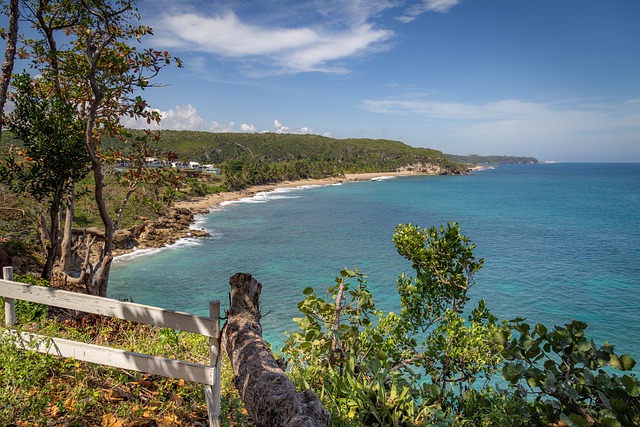 Free download island puerto rico ca caribbean free picture to be edited with GIMP free online image editor