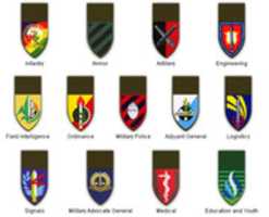 Free download Israel Defence Force Corps Insignia 2014 free photo or picture to be edited with GIMP online image editor