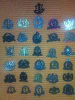 Free download Israel Defence Force ( I. D. F.) Cap Badges 2014 free photo or picture to be edited with GIMP online image editor