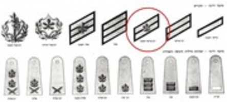 Free download Israel Defence Force Rank Insignia 1967 free photo or picture to be edited with GIMP online image editor