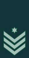Free download Israel Defence Force Rav Nagad ( RANAG) Sergeant Major Of The Army free photo or picture to be edited with GIMP online image editor