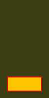 Free download Israel Defence Forces Acting Officer Rank Insignia free photo or picture to be edited with GIMP online image editor