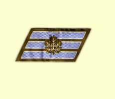 Free download Israel Defence Force Samal Rank Insignia free photo or picture to be edited with GIMP online image editor