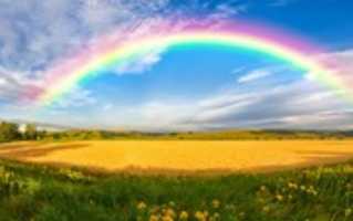 Free download Israel Kamakawiwoole - Somewhere Over The Rainbow, What A Wonderful World (With lyrics Inc. Ltd.) free photo or picture to be edited with GIMP online image editor