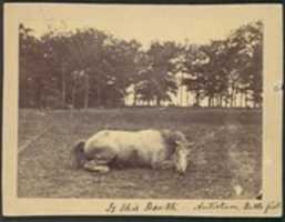Free download Is This Death - Antietam Battlefield, September 1862 free photo or picture to be edited with GIMP online image editor