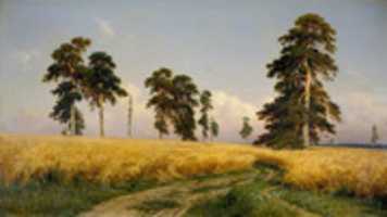 Free download Ivan Shishkin, Rye free photo or picture to be edited with GIMP online image editor