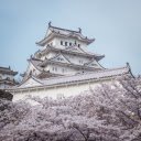 Ivory Citadel Amidst Blossoming Hues  screen for extension Chrome web store in OffiDocs Chromium