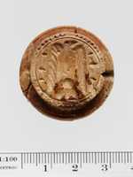 Free download Ivory discoid seal free photo or picture to be edited with GIMP online image editor