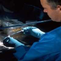 Free download IVRT -  In vitro release testing free photo or picture to be edited with GIMP online image editor
