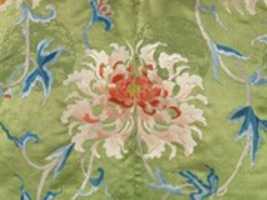 Free download Jacket for a Theatrical Costume free photo or picture to be edited with GIMP online image editor