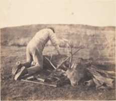 Free download Jack Gralloching a Stag free photo or picture to be edited with GIMP online image editor