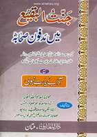Free download JANNAT UL BAQI MEN MADFOON SAHABA free photo or picture to be edited with GIMP online image editor