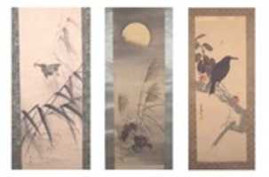 Free download Japanese Scroll Demo free photo or picture to be edited with GIMP online image editor