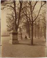 Free download Jardin du Luxembourg free photo or picture to be edited with GIMP online image editor