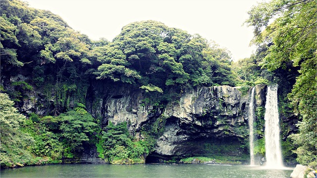 Free download jeju island jeju jejudo nature free picture to be edited with GIMP free online image editor