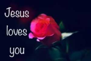 Free download Jesus Loves You - flower pictures free photo or picture to be edited with GIMP online image editor