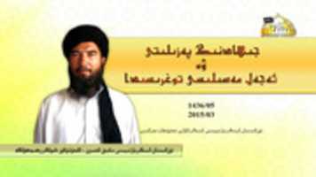 Free download jihadning-peziliti free photo or picture to be edited with GIMP online image editor