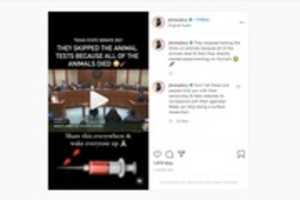 Free download Jimmy Levy Instagram post, May 18, 2021 free photo or picture to be edited with GIMP online image editor