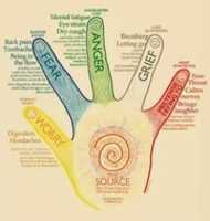 Free download Jin Shin Jyutsu Latest Hand Chart free photo or picture to be edited with GIMP online image editor