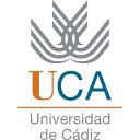 Écran Jitsi Desktop Streamer Universidad de Cadiz pour l'extension Chrome web store dans OffiDocs Chromium