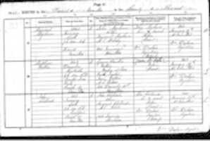 Free download John Clelland Birth 1863 free photo or picture to be edited with GIMP online image editor