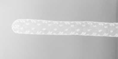 Free download Joined lappets free photo or picture to be edited with GIMP online image editor