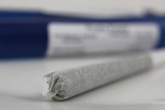 Muat turun percuma Ganja Rekreasi Bersama - foto atau gambar percuma untuk diedit dengan editor imej dalam talian GIMP